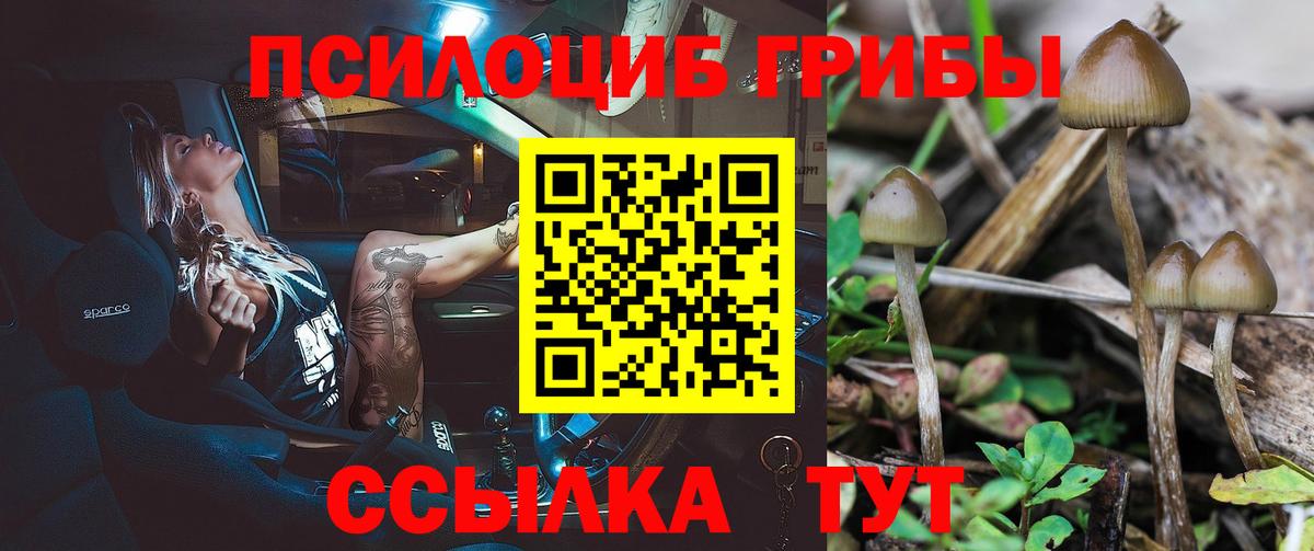 Псилоцибиновые грибы ЛСД  Псилоцибиновые грибы GOLDEN TEACHER  Верхняя Салда  Вход с VPN 
