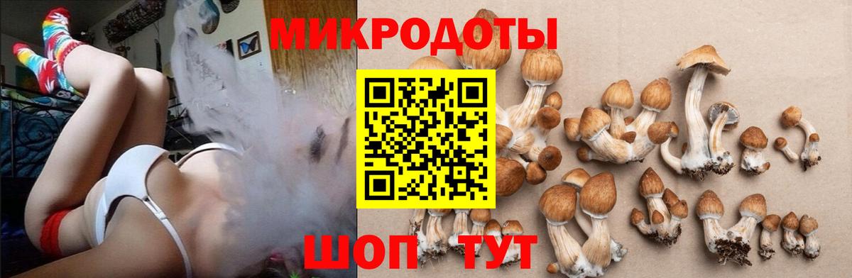 Псилоцибиновые грибы прущие грибы Верхняя Салда